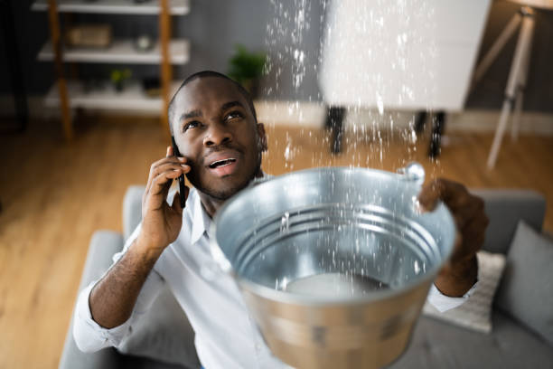  Kenbridge, VA Water damage restoration Pros
