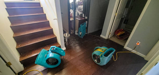 Best Flood damage cleanup  in Kenbridge, VA