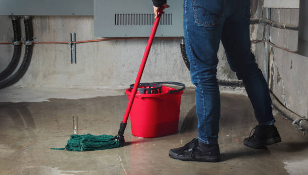 Best Ceiling water damage repair  in Kenbridge, VA