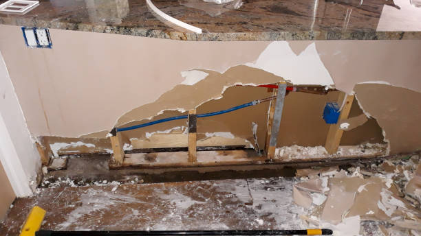 Best Basement water damage restoration  in Kenbridge, VA