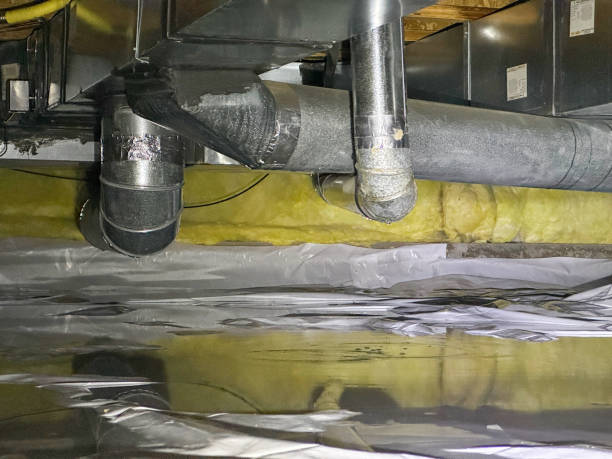 Best Flooded house restoration  in Kenbridge, VA