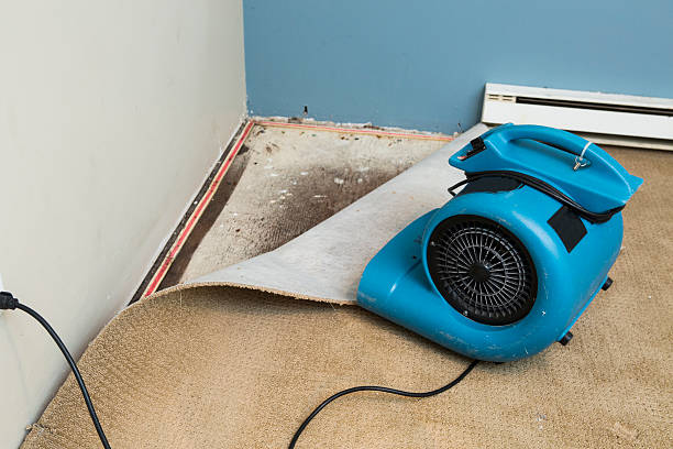 Best Water damage contractors near me  in Kenbridge, VA