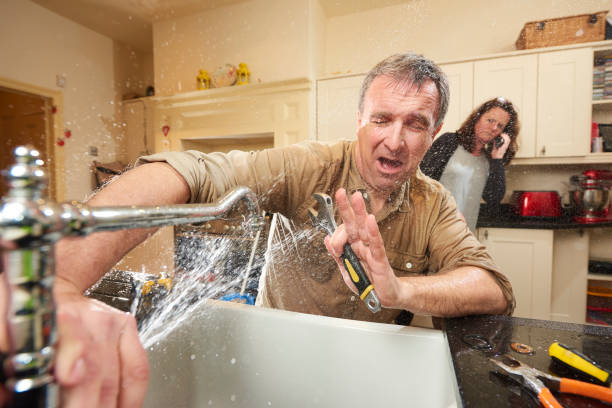 Best Local water damage restoration  in Kenbridge, VA